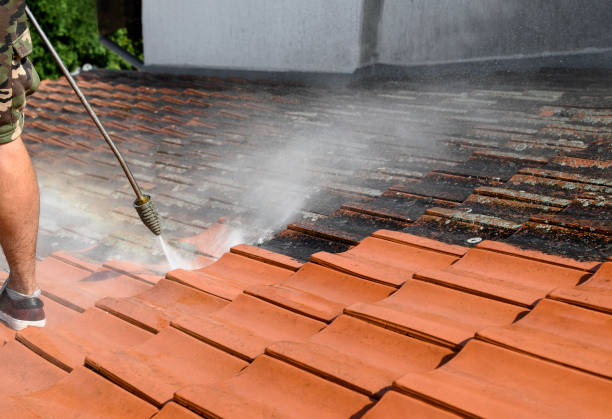 Best Affordable Pressure Washing  in Helena, OK